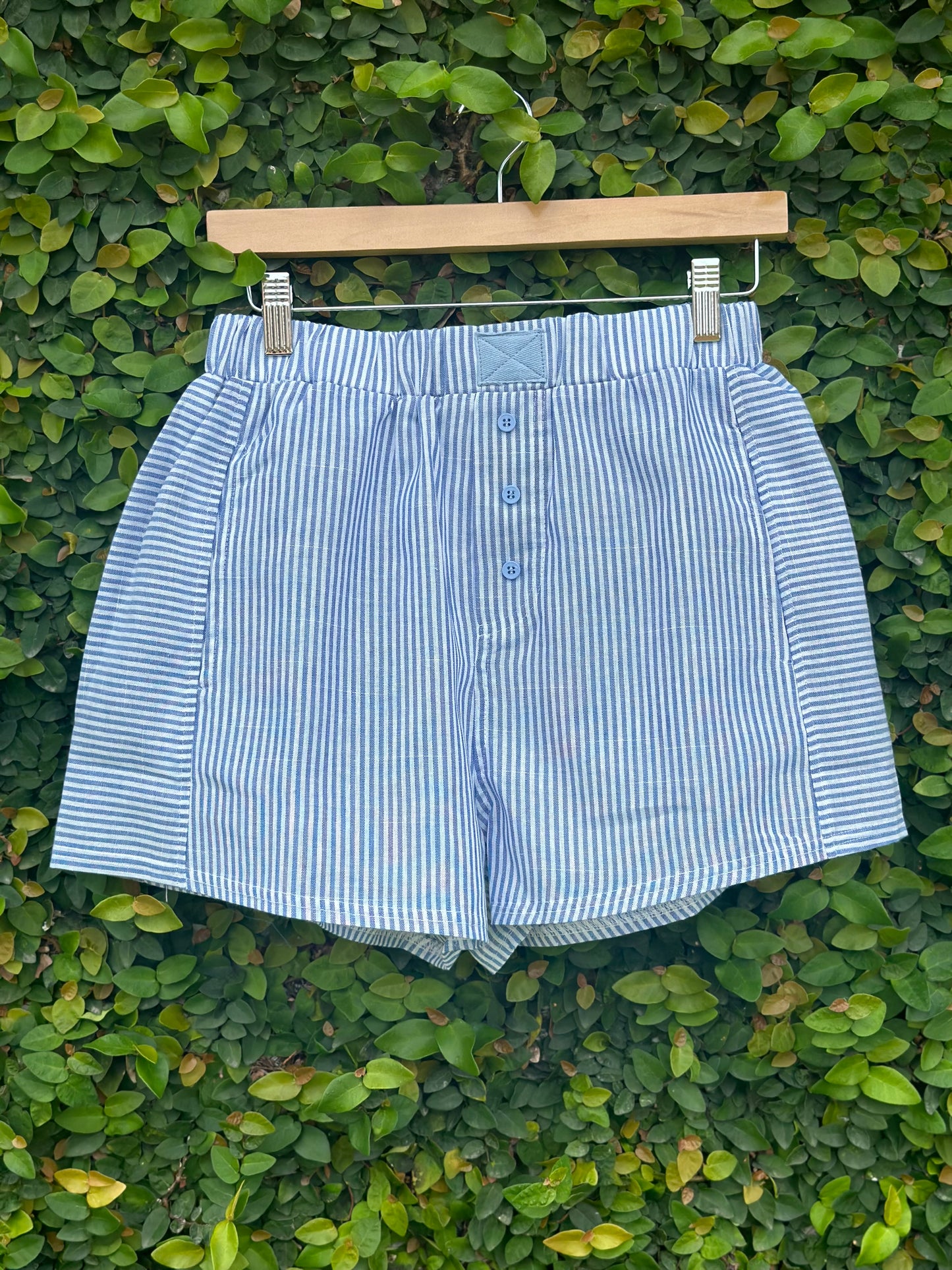 Stacy Shorts in Blue Stripes